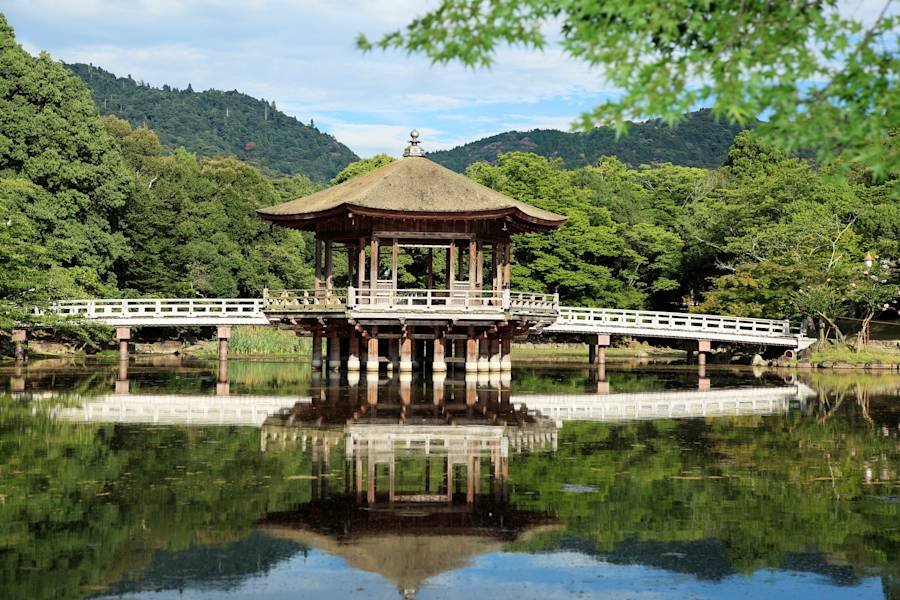 🦌 나라 공원 (奈良公園) 이미지 5